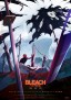 Bleach: Sennen Kessen-hen - Kashintan